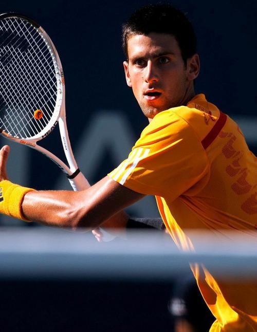 带来全新的 带来全新的